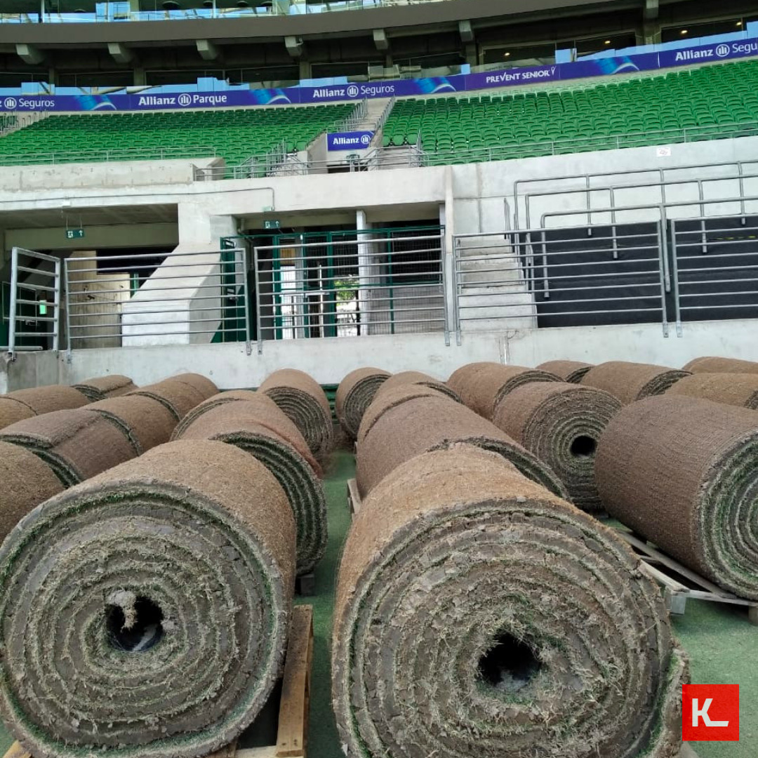 Operação de troca de gramado no Allianz Parque